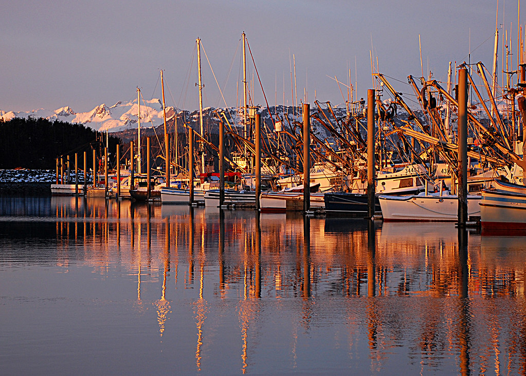 Cordova Boat Harbor Cordova Alaska Clarence Unger Flickr