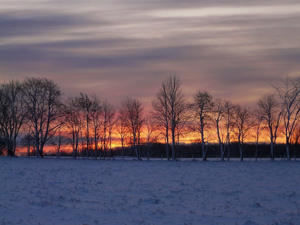 52 Emma St, Guelph, ON N1E 1T7, Canada Sunrise Sunset Times