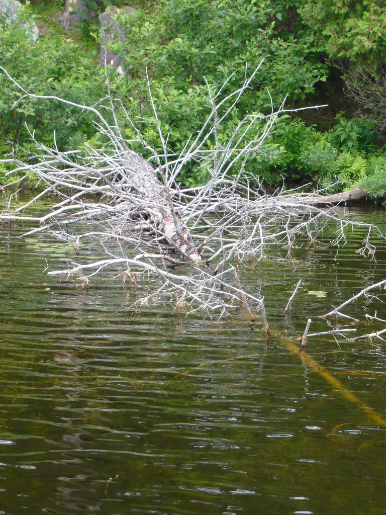 Lac Gauvreau Flickr