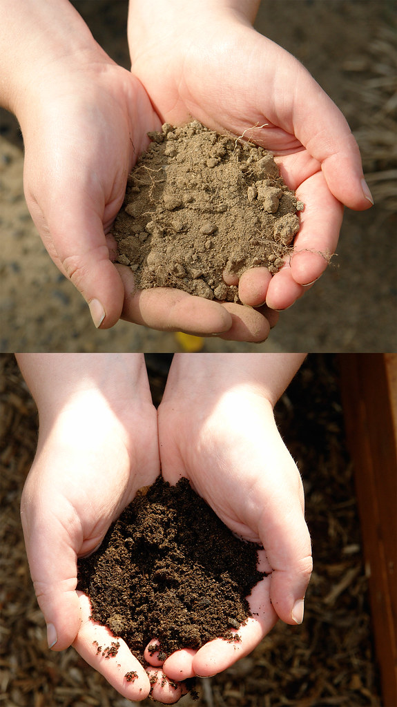 Dirt before and after Above, a handful of dirt from the fr… Flickr