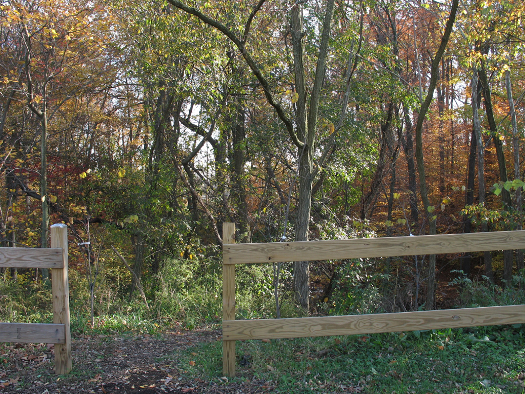 Lower Beaverdam Creek Friends of Lower Beaverdam Creek Flickr