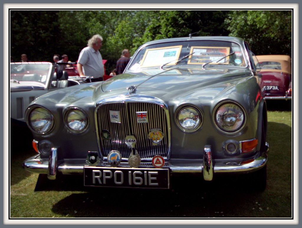 JAGUAR Welsh Harlequin Flickr