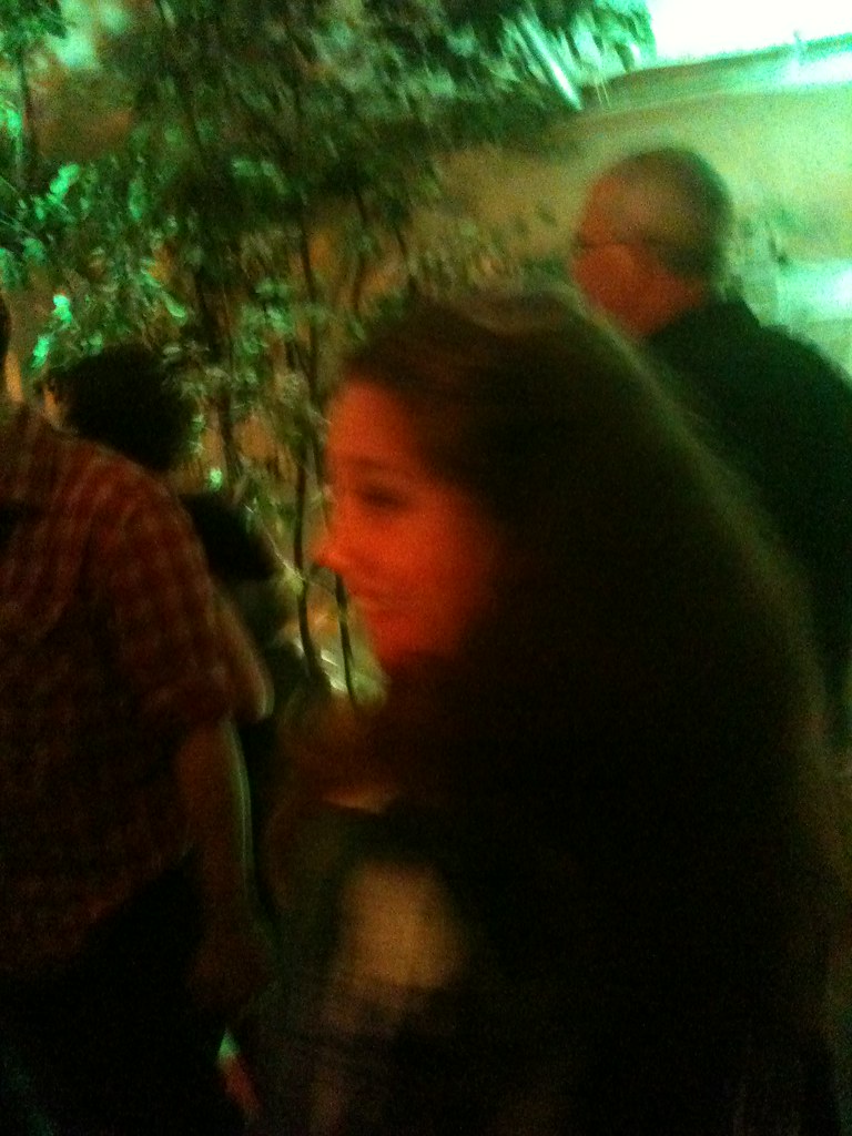 photo.JPG Mattress Factory Urban Garden Party Flickr