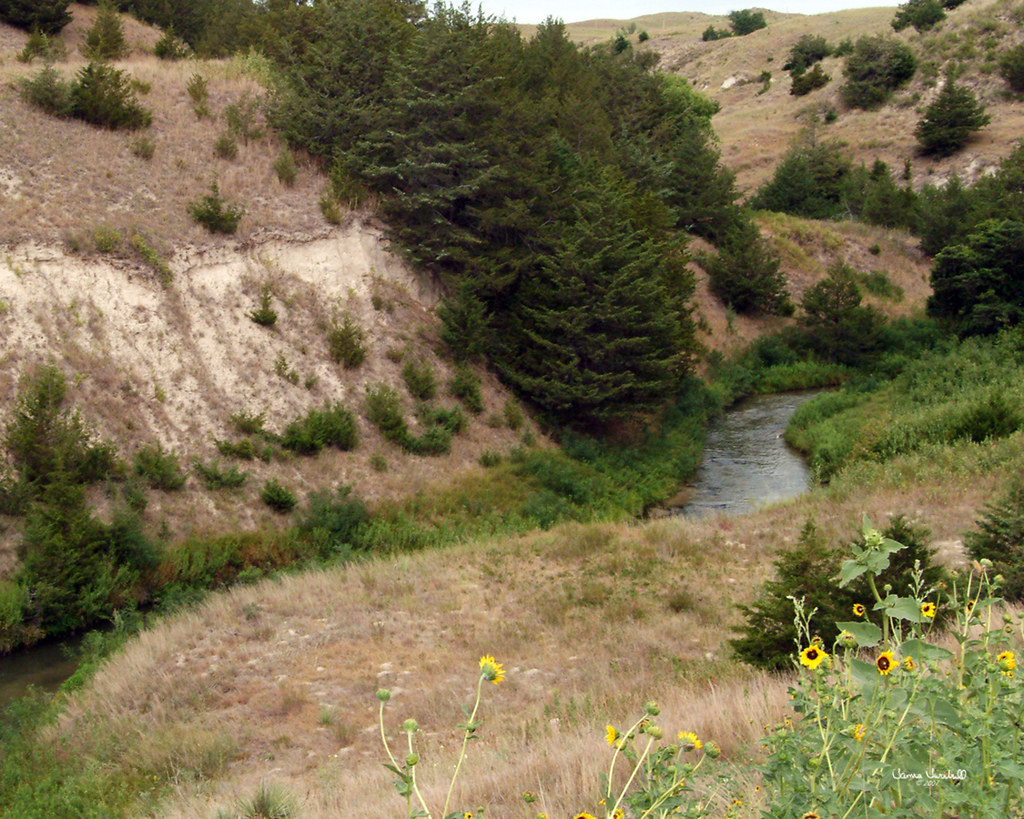Dismal River Dismal River in sandhills near Mullen, NE … Flickr