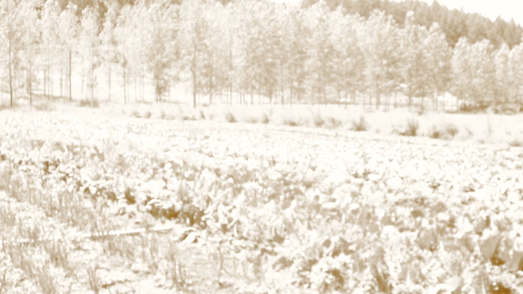 IMG_1414 Trip to Gathering Together Farms in Philomath, Or… Flickr