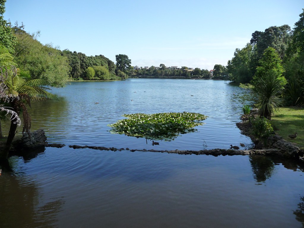 Virginia Lake Brenda Anderson Flickr