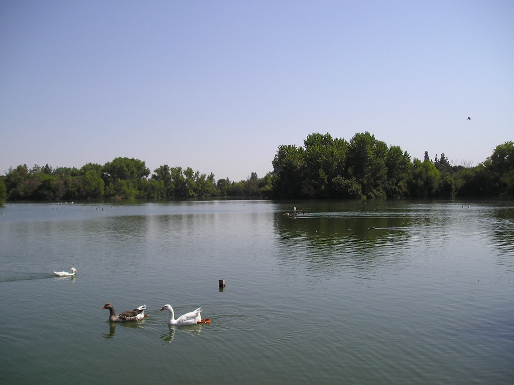 Woodward Park in Fresno Woodward Park in Fresno, including… Flickr