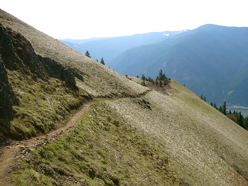 P1010532 Near the top of the Dog Mountain trail Mark Norwood Flickr