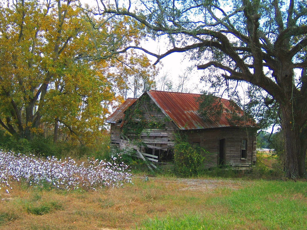Rowena farm house by cotton field Ed Evans Flickr