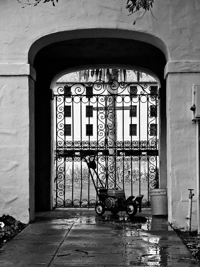 Santa Clara University Adam Flickr