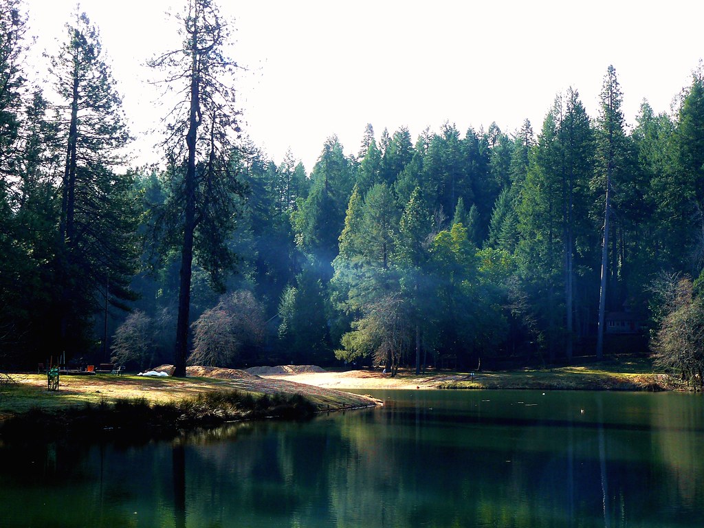 Morning Smoke at Lake Madrone, Berry Creek, Ca. View On Bl… Brandon