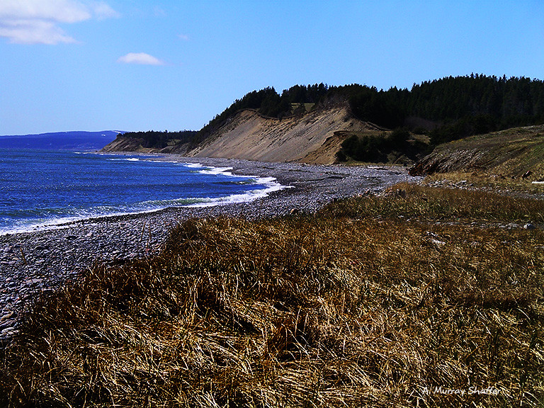 Elevation of Stephenville, NL, Canada Topographic Map Altitude Map