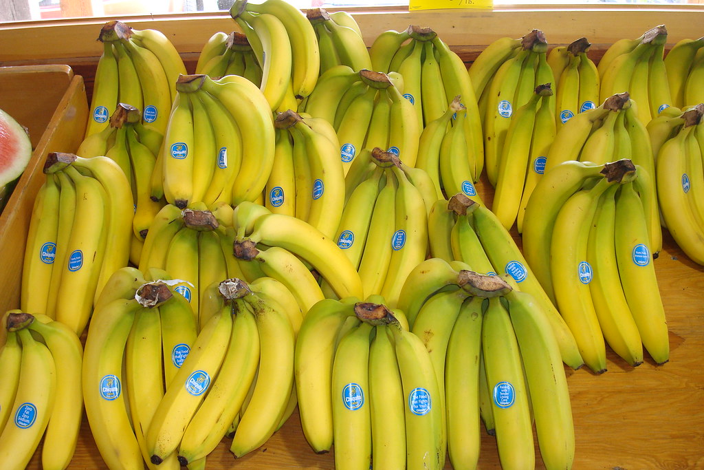 Bananas Chiquita Bananas at Fobbema's Farm in Northbridge,… Flickr