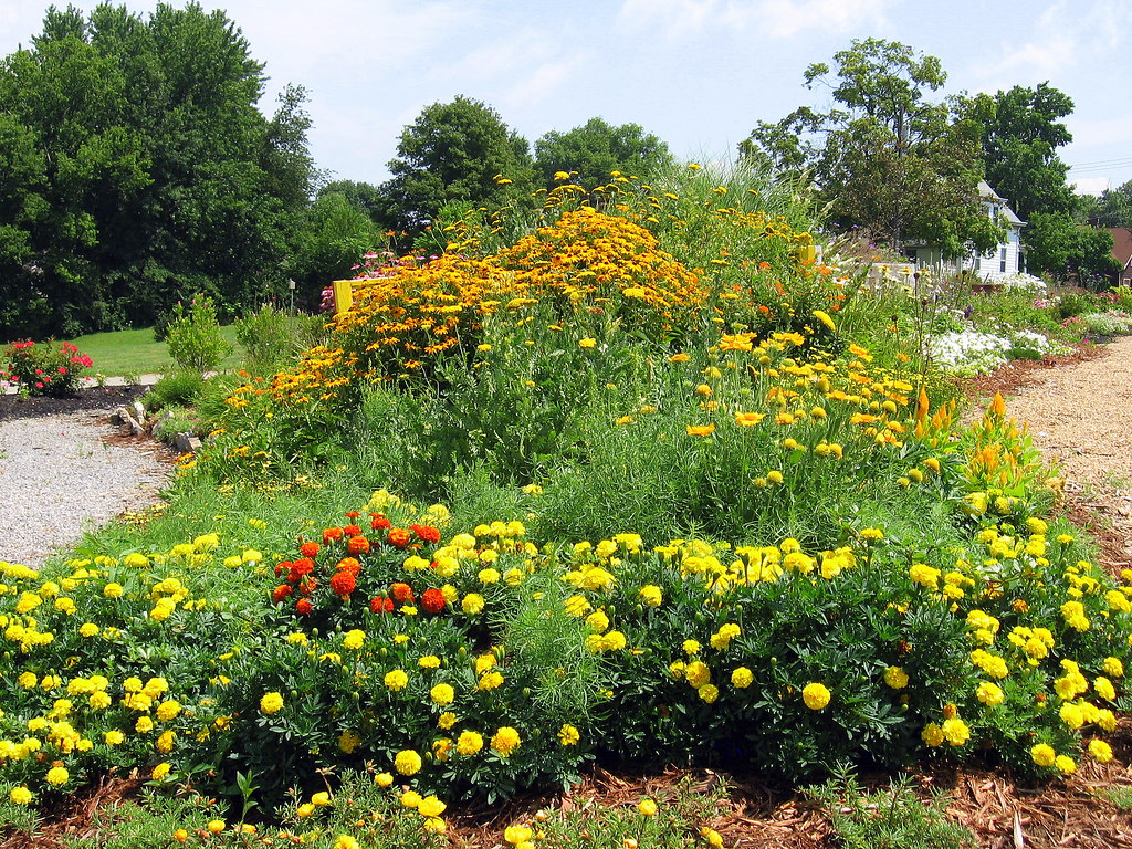 Floral Paradise Gardens Delhi Twp, Ohio Joana Roja Flickr