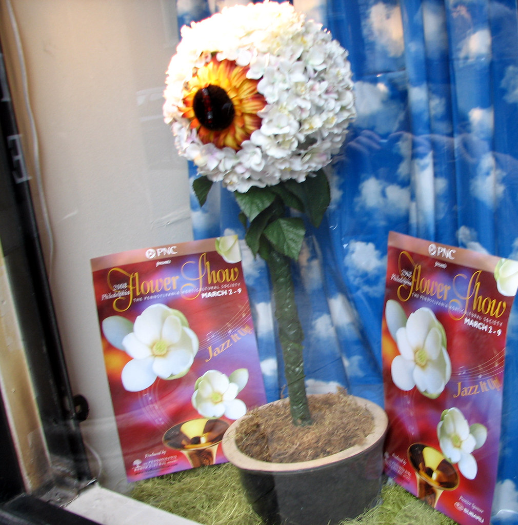 Modern Eye's window display chrisinphilly5448 Flickr