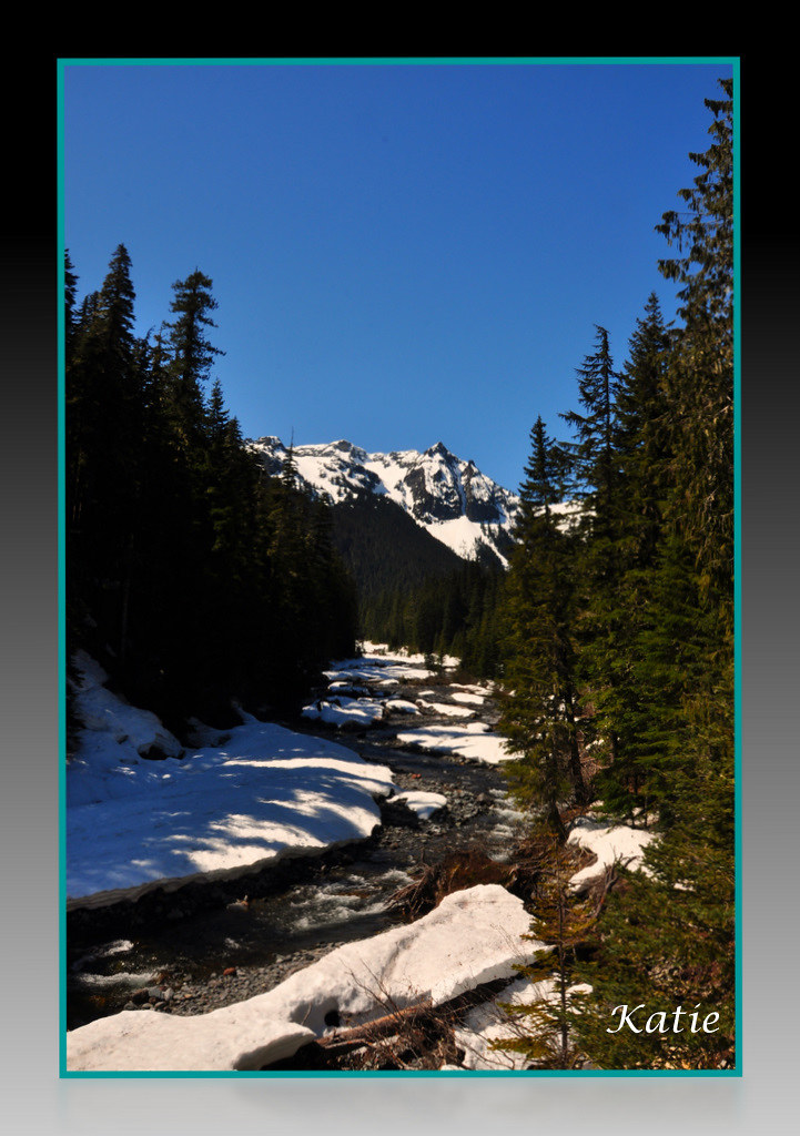 Stream at Mt. RainierWhite River Entrance I was surprised… Flickr