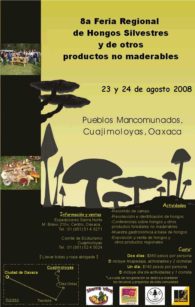 Feria de Hongos Mushroom Fair 20052008 Oaxaca Mexico Flickr