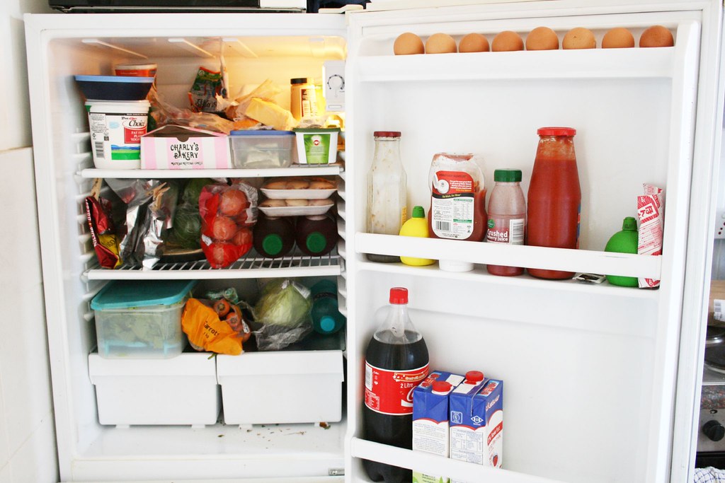 Costliest Refrigerator Ever at Felix Wyatt blog