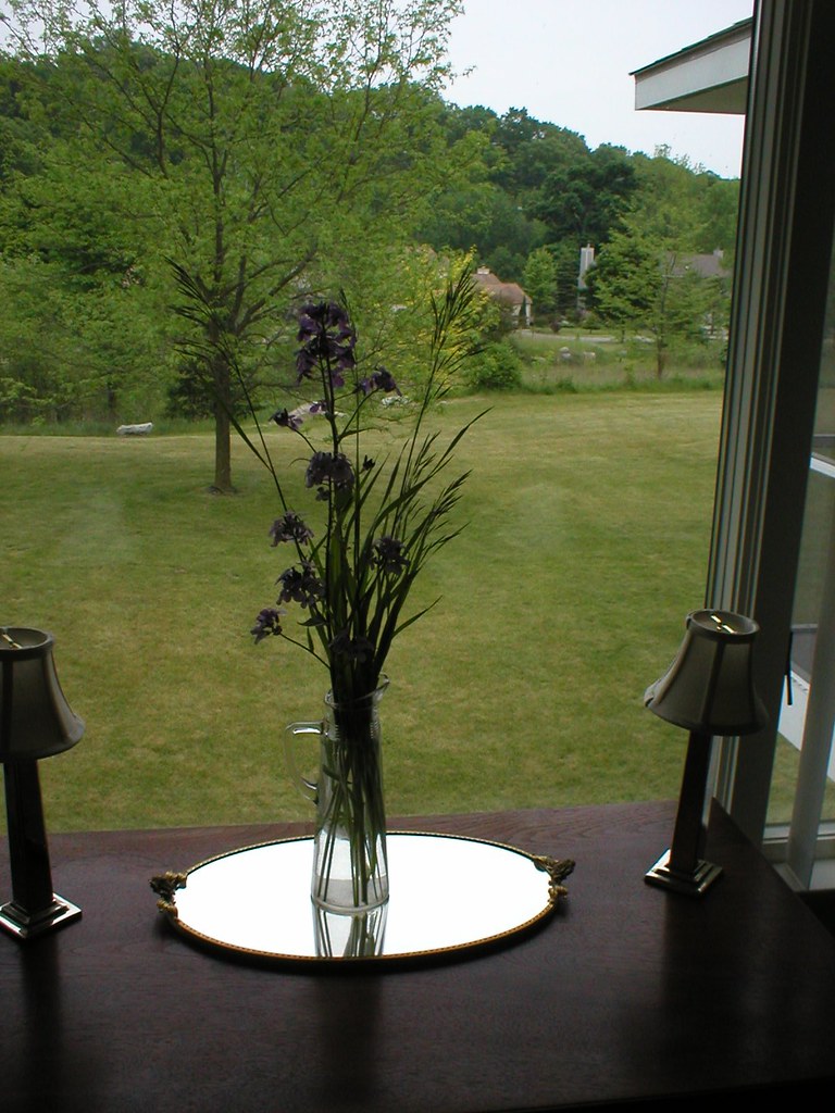 View from Sister Susans condo in Rockford Michigan Flickr