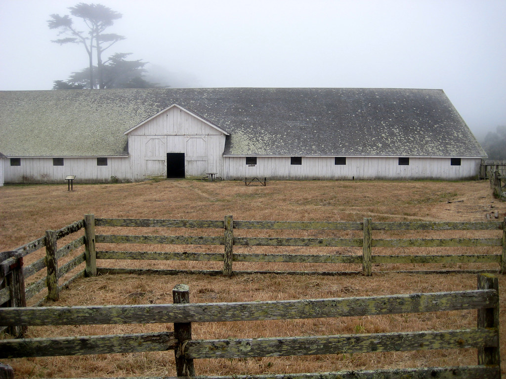 Point Reyes CA Dave Gray Flickr