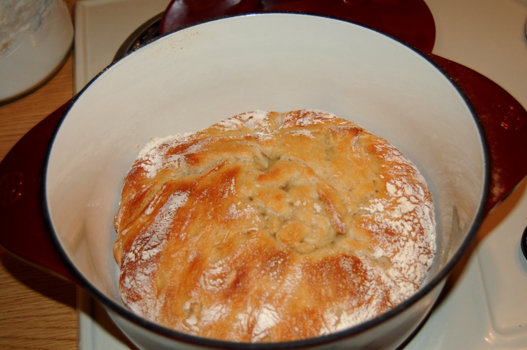 NoKnead Bread New York Times recipe Leslie Flickr