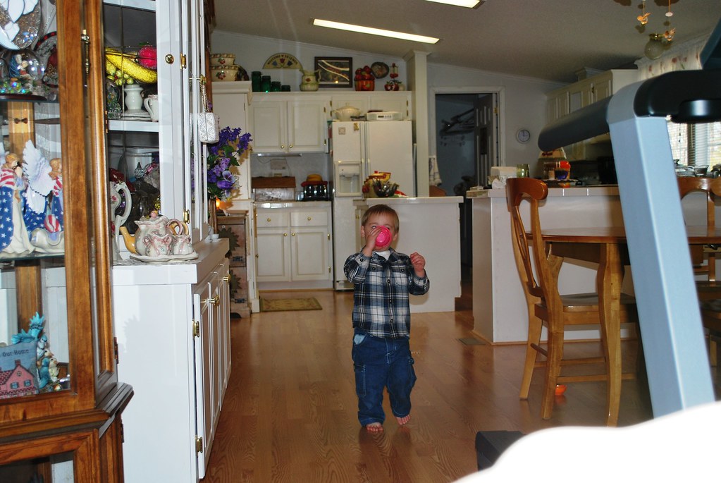 2008 Trip to Alta Vista VA Grandma and Grandpa Knights (12… Flickr