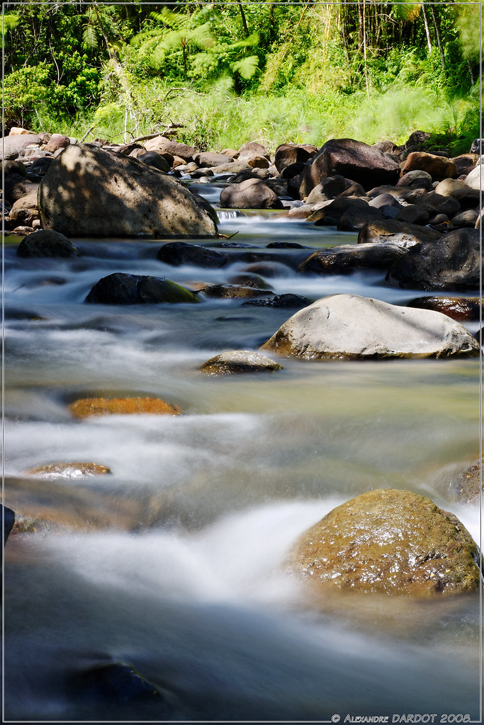 La Rivière Blanche à Coeur Bouliki en Martinique / The Whi… Flickr