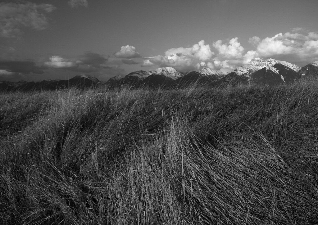 Elevation of Terrace Lake Road, Terrace Lake Rd, Ronan, MT, USA