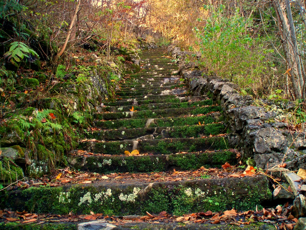 Clark Reservation State Park Jamesville, NY Paul Barfoot Flickr