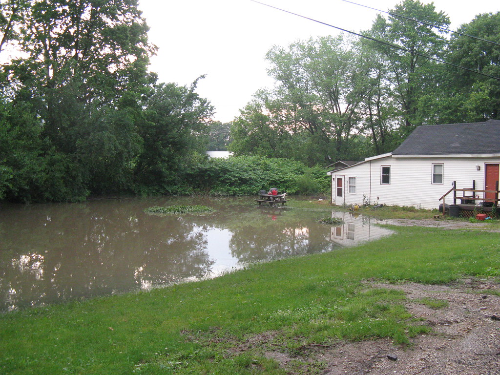 neighbors yard now pond elise morton Flickr
