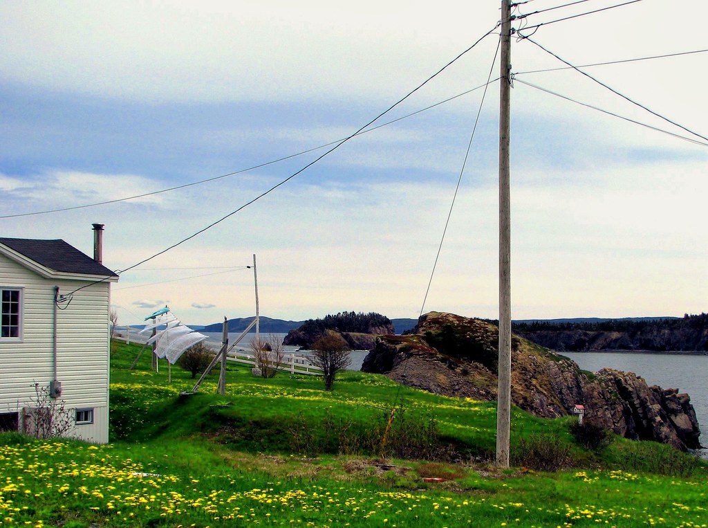 Chance Cove, NL Lucia Flickr