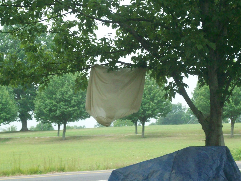 Yard Sale Panties why, oh why? simonJester Flickr