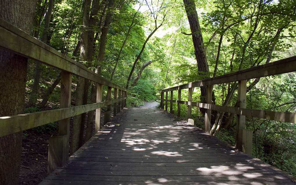 Balfour Park 2 Another shot of Balfour Park in Toronto, On