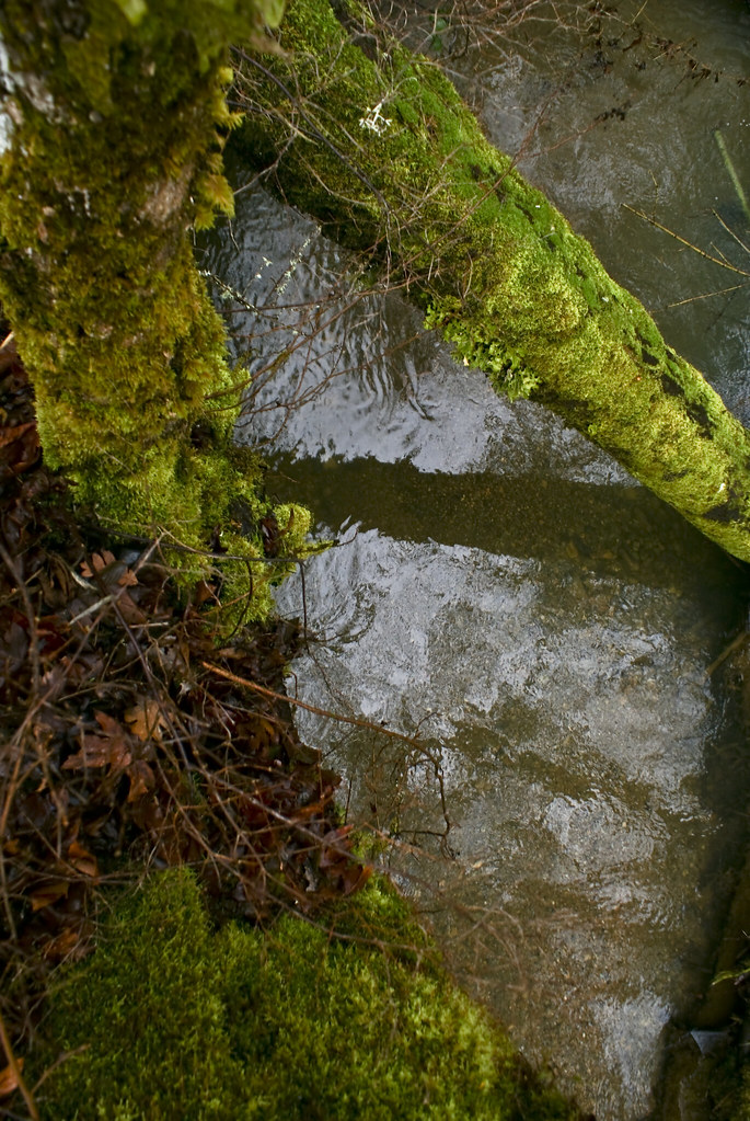 Elevation of Kerby Mainline Road, Kerby Mainline Rd, Oregon, USA Topographic Map Altitude Map