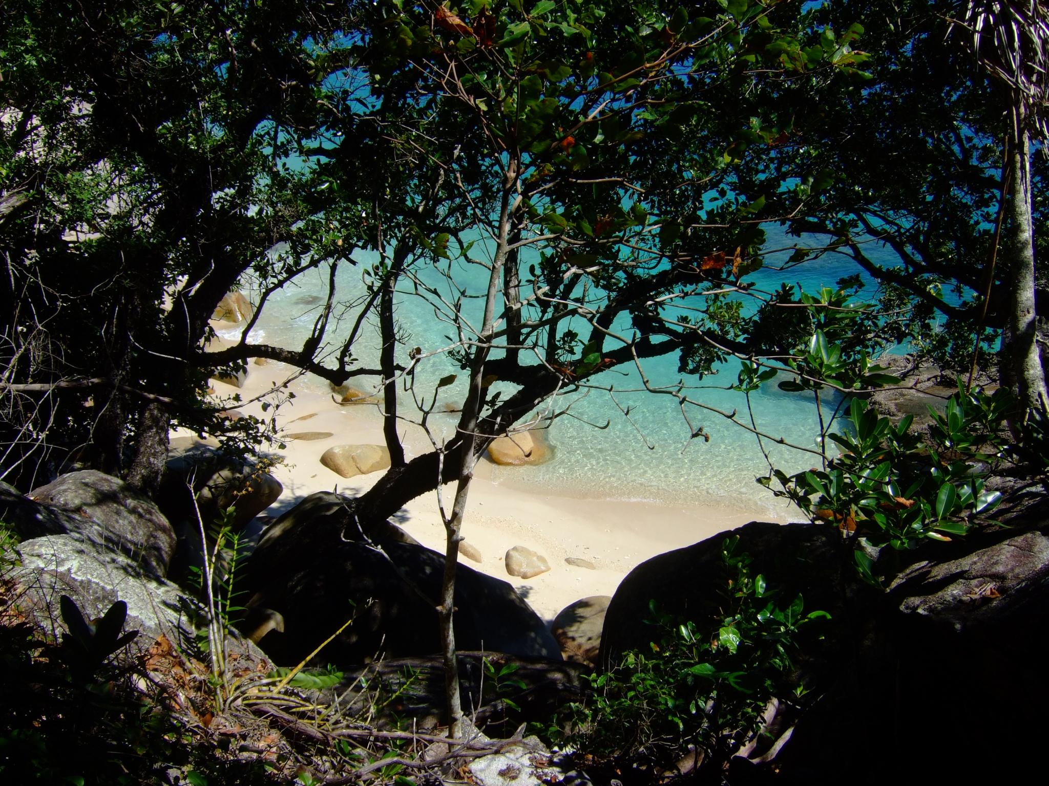 Fitzroy Island Campervan Finder