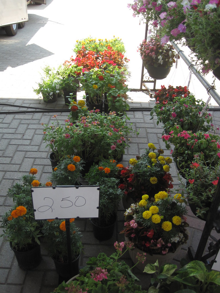 IMG_7114.jpg Flowers Shreveport Farmers' Market June 11, 2… Kathryn