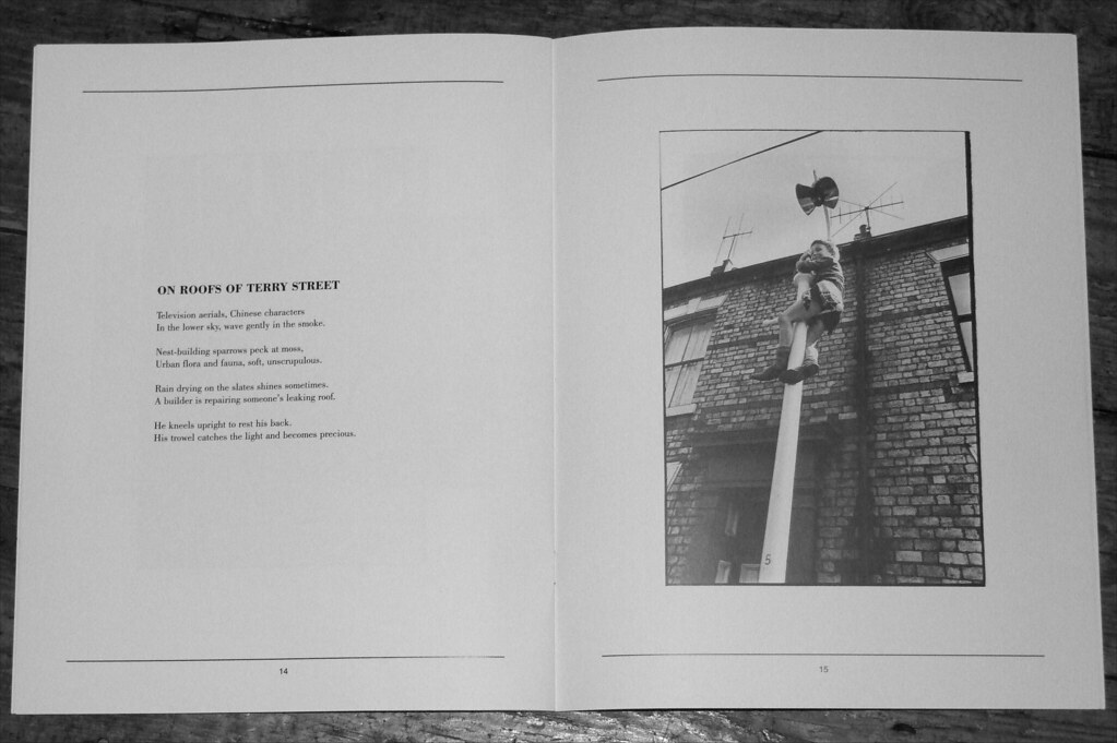 Terry Street Terry Street by Douglas Dunn Douglas Dunn was… Flickr