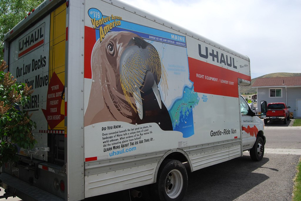 Maine walrus on UHaul truck Erin Kinney Flickr