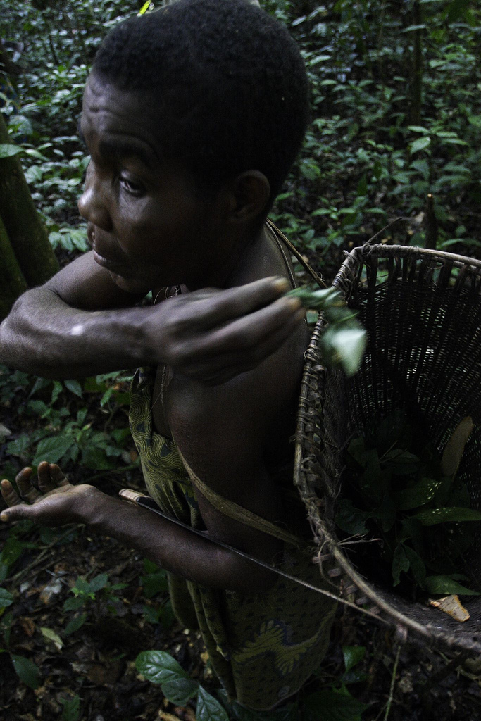 BaAka Pygmy Hunting Credits Kersten Jauer for UNDP hdpt… hdptcar