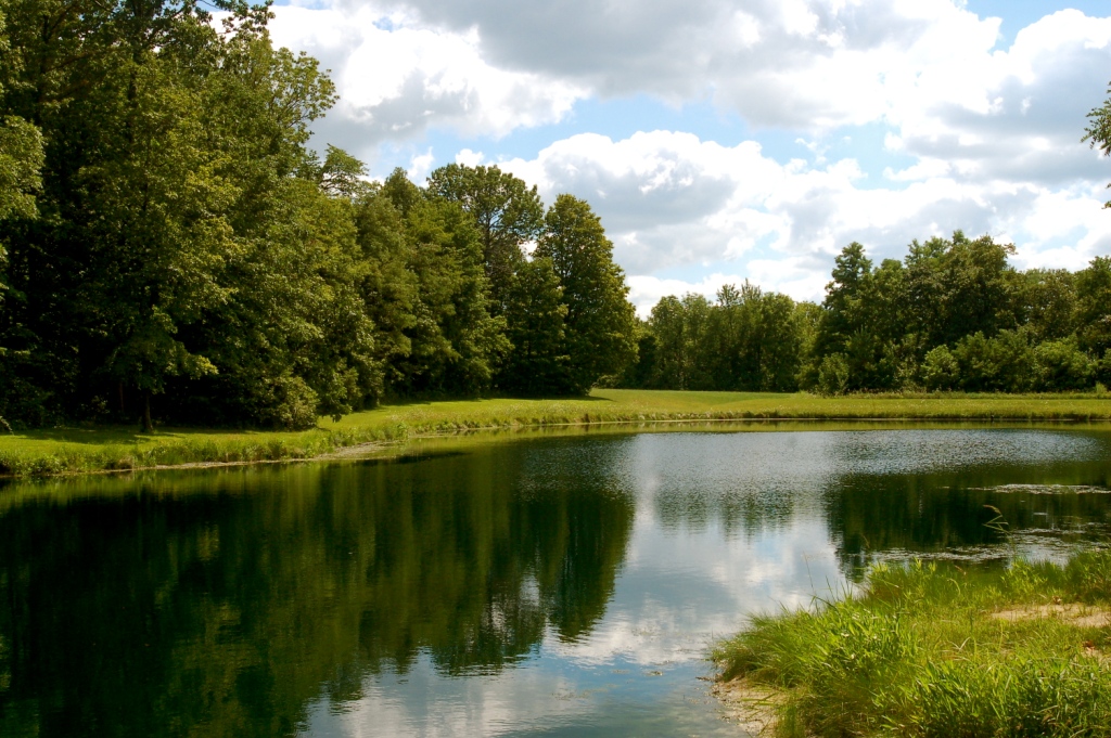 Ranch Reflection Taken in Belle Center, Ohio at the old Do… Flickr