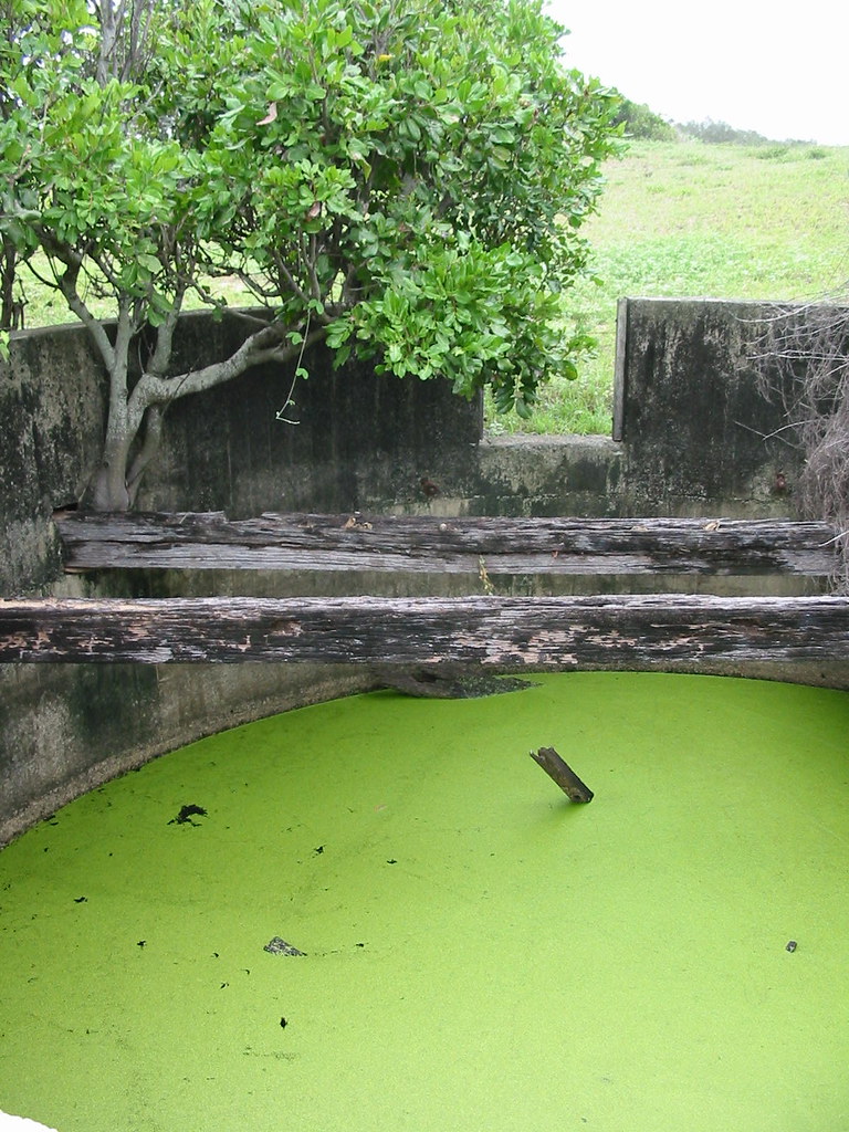 East Point, Mackay 1202071_IMG Ian Sutton Flickr
