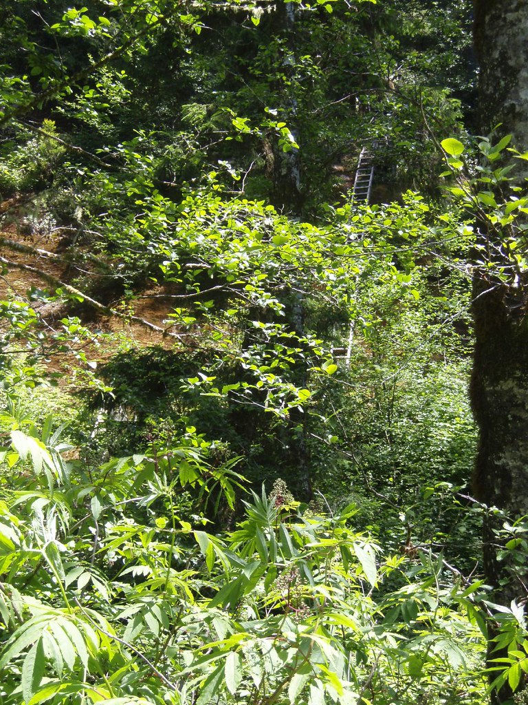 look closely to find the ladders Rebecca Flickr