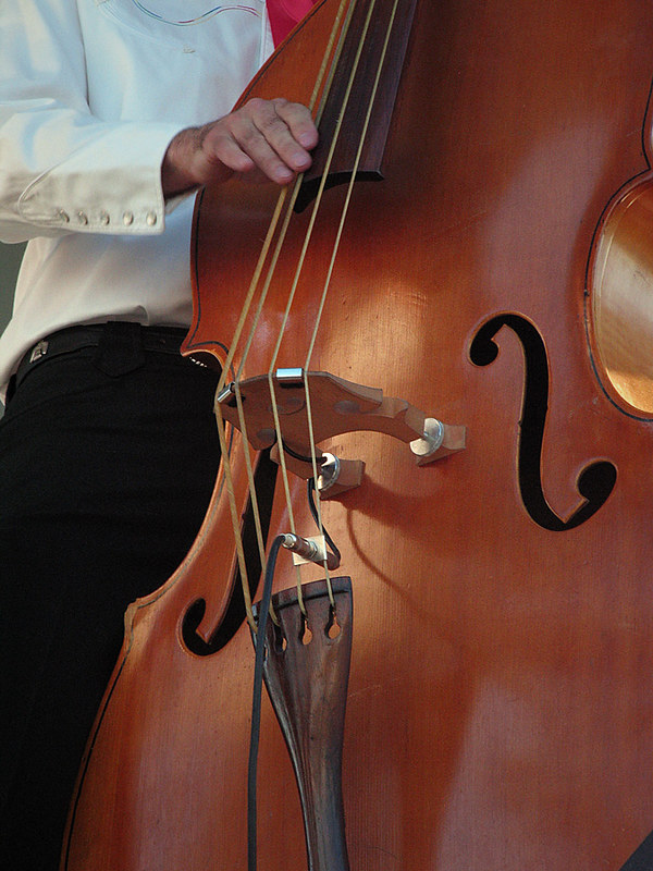 Gin Palace Jesters Flickr