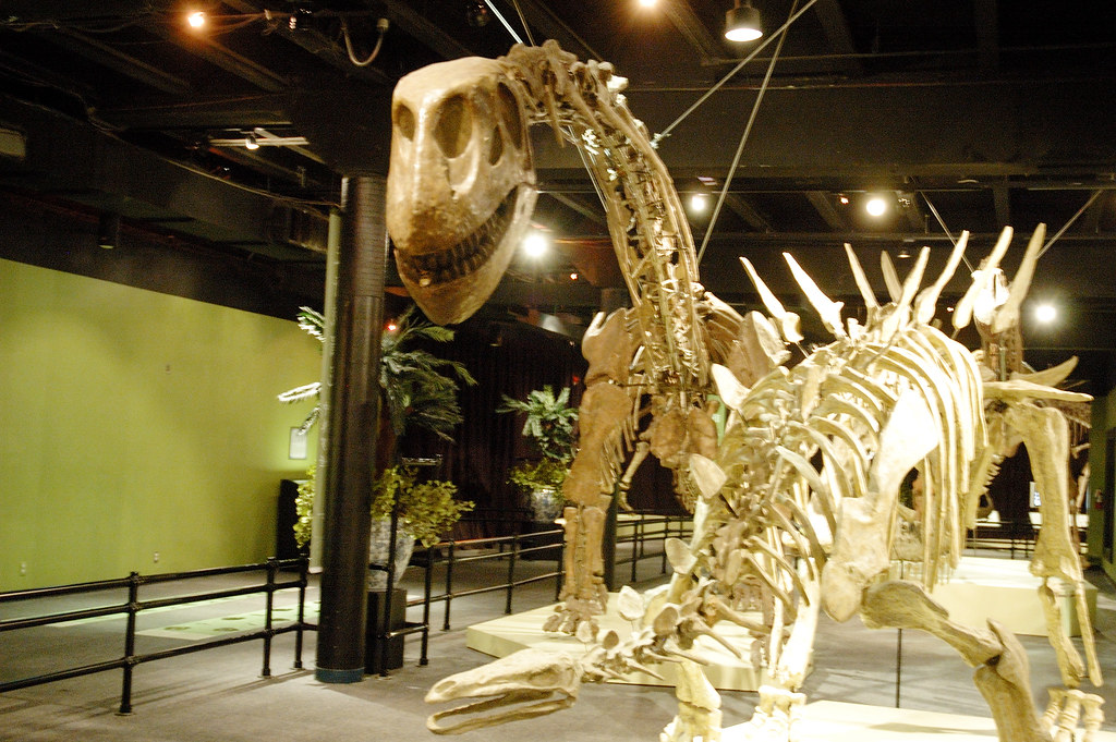 Dinosaur Miami Science Museum mildbull Flickr