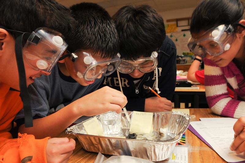 Mother Nature Science KL Flickr