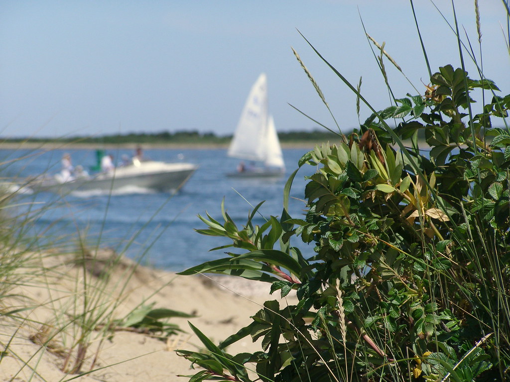 Brant Point Hedge Fund at Sue James blog