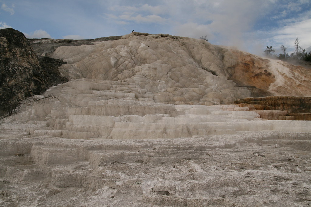 Minerva Terrace This Minerva Terrace is one of the best kn… Flickr