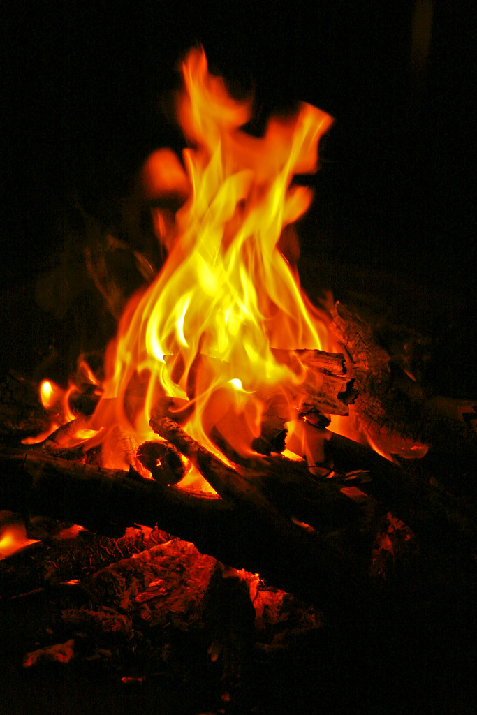 Driftwood Fire Burning driftwood is really cool because of… Flickr
