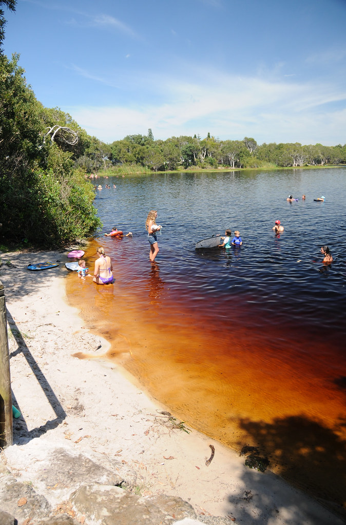 Lake Ainsworth at Lennox Head This is a fresh water lake j… Flickr