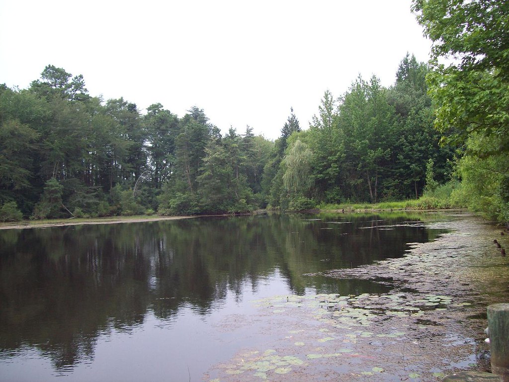 Hammonton Lake With No PostProcessing This is what yester… Flickr